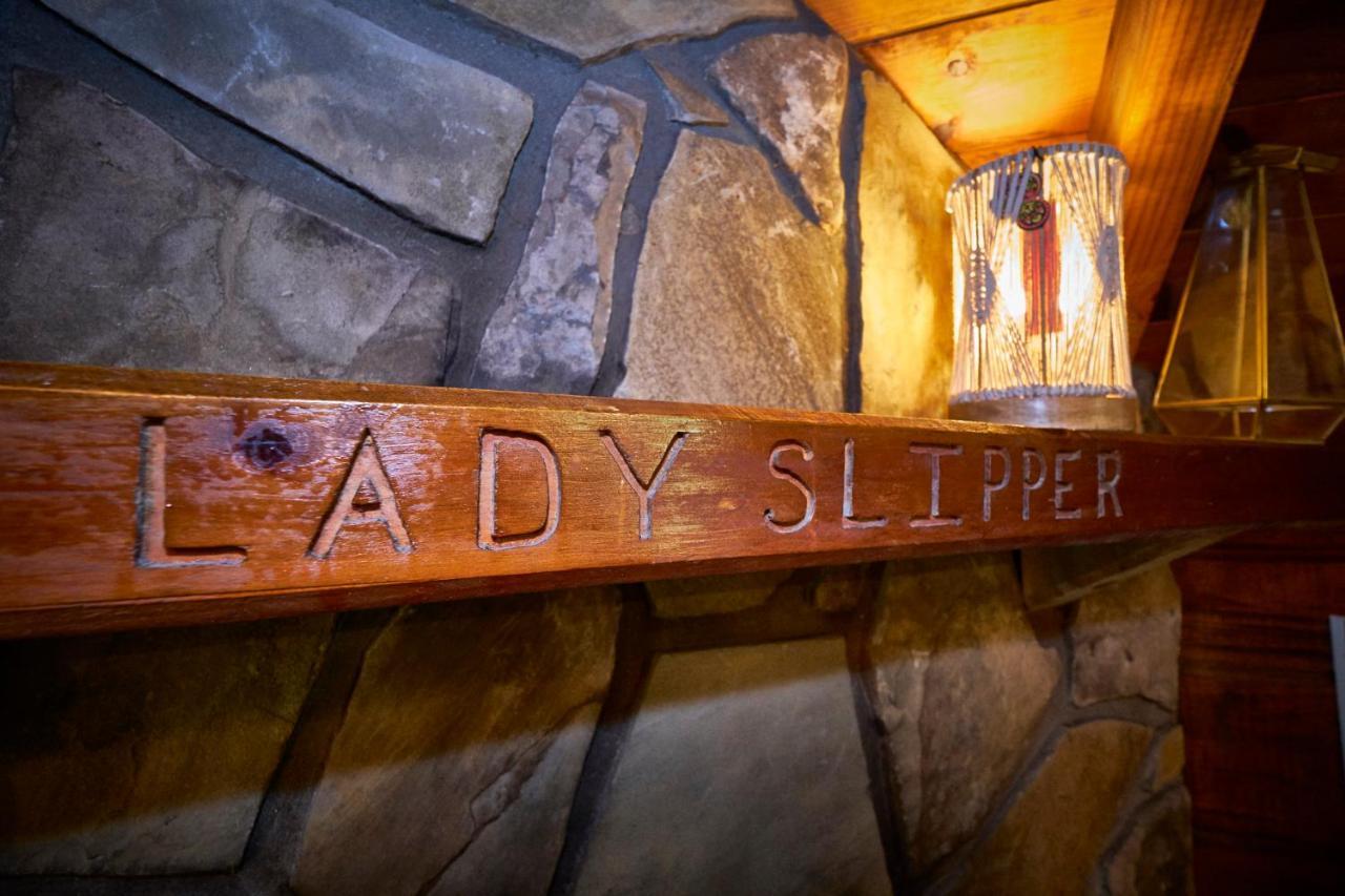 Gatlinburg Area Hottub Cabin - Ladyslipper Sevierville Εξωτερικό φωτογραφία